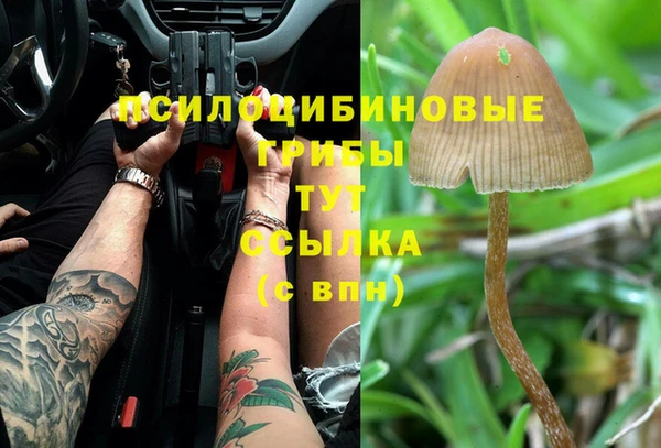 метадон Кукмор