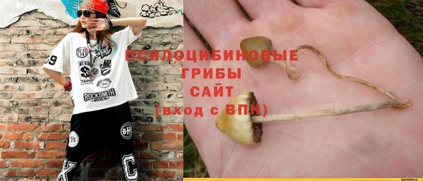 а пвп мука Куйбышев